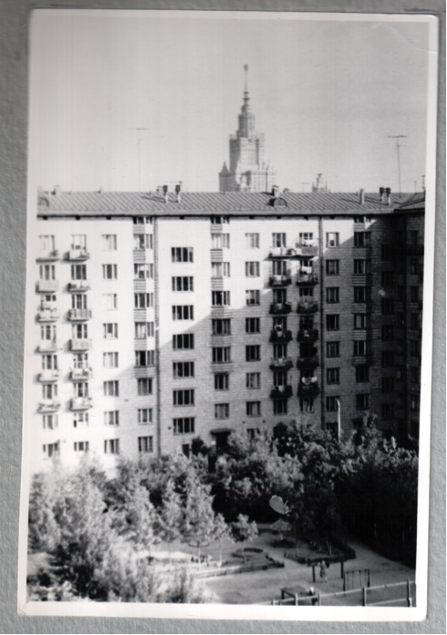 Вид с балкона дома № 15 на двор и дом 19 по Ломоносовскому проспекту, 1966 год